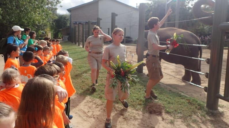 Houston Winter Camp Guide 2022 - The Best Thanksgiving and Holidays Camps for Kids 4 Houston Winter Camp Guide - Camp ZooFari