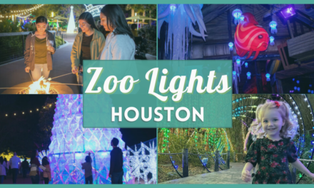 Houston Zoo Lights 2022: Hours, Tickets, Discount code and more!