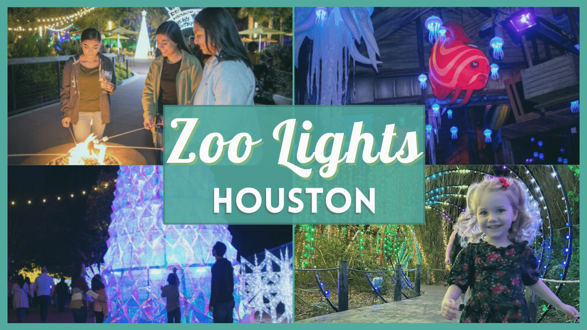 Zoo Lights Houston 2023 Tickets