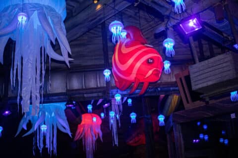 Zoo lights Houston - Illuminated Ocean