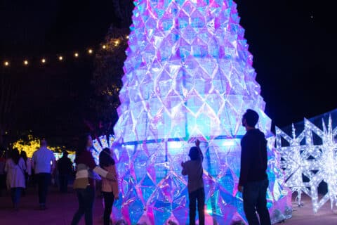 Zoo Lights Houston Tree