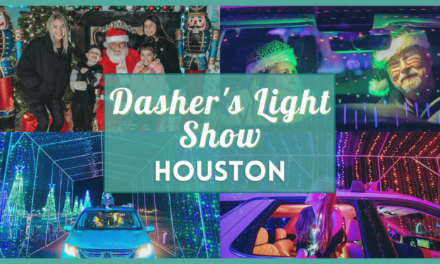 Dashers Light Show Houston 2022 and Dasher Winterland in Humble, TX Guide