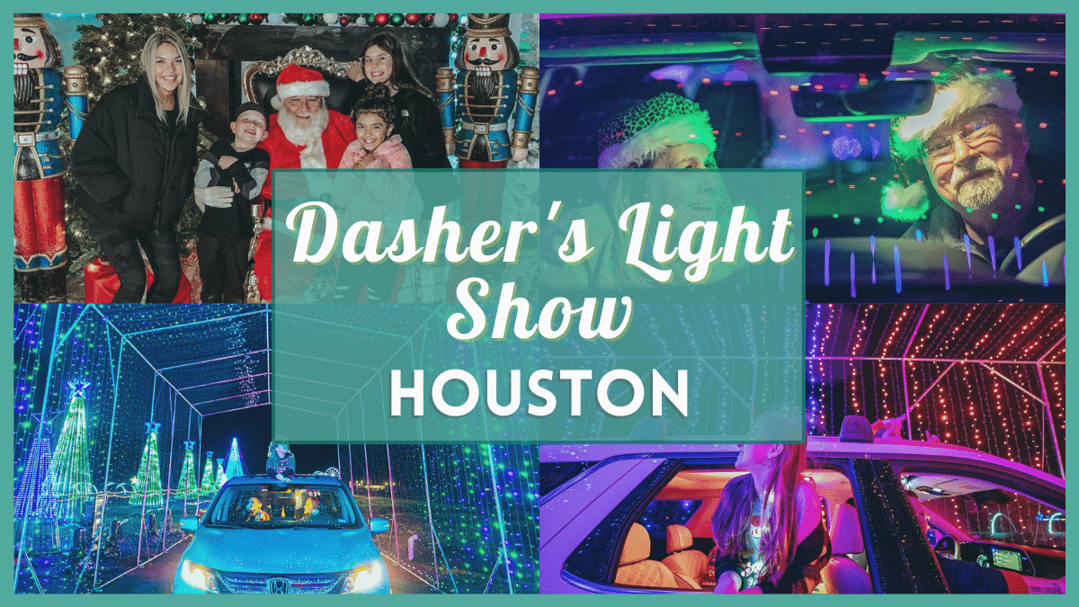 Dasher's Lightshow and Winterland 2022 in Houston