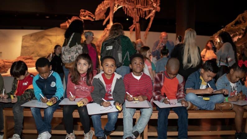 The Best Cheap and Free Things to do in Sugar Land - Houston Museum of Natural Science Sugar Land