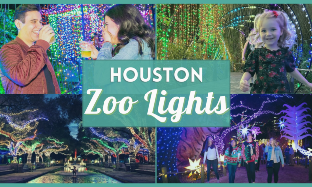 Houston Zoo Lights 2022 – What’s new this year?
