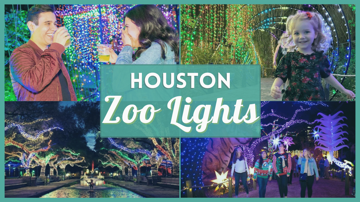Houston Zoo Lights 2022 - What's new this year?