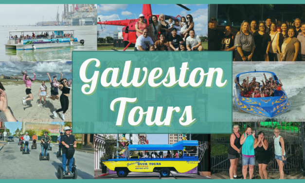 Galveston Tours – Enjoy discounts on dolphin tours, duck tours, ghost tours, helicopter tours, & more!