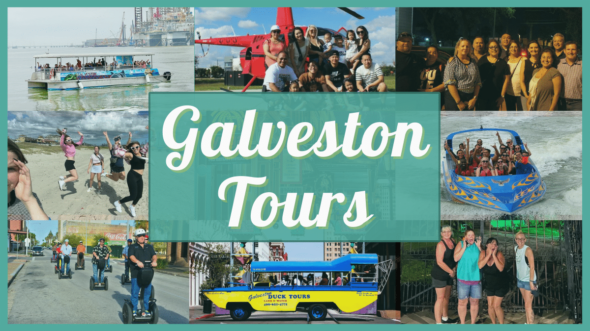 Galveston Tours – dolphin tours, ghost tours, & more!