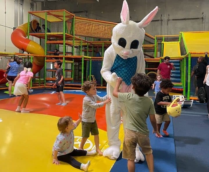 Things to do with Kids and Toddlers in Houston - Wonderwild