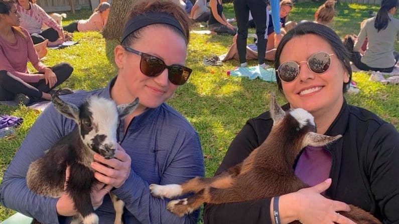Things to do in Houston this weekend | Goat Yoga