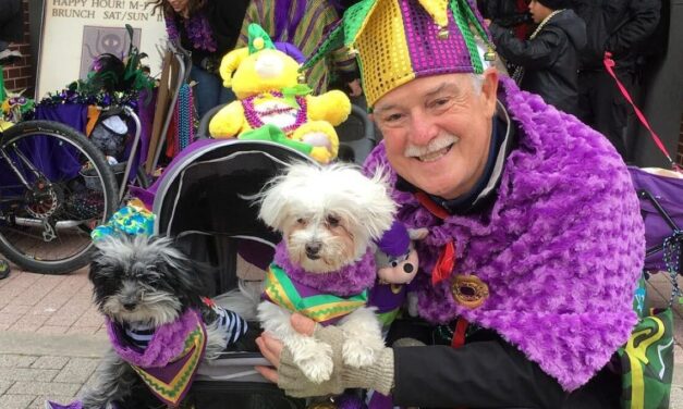 Things to do in Galveston This Weekend of February 17, include Krewe of Barkus and Meoux Parade, A Cat’s Eye View Balcony Party, & more!