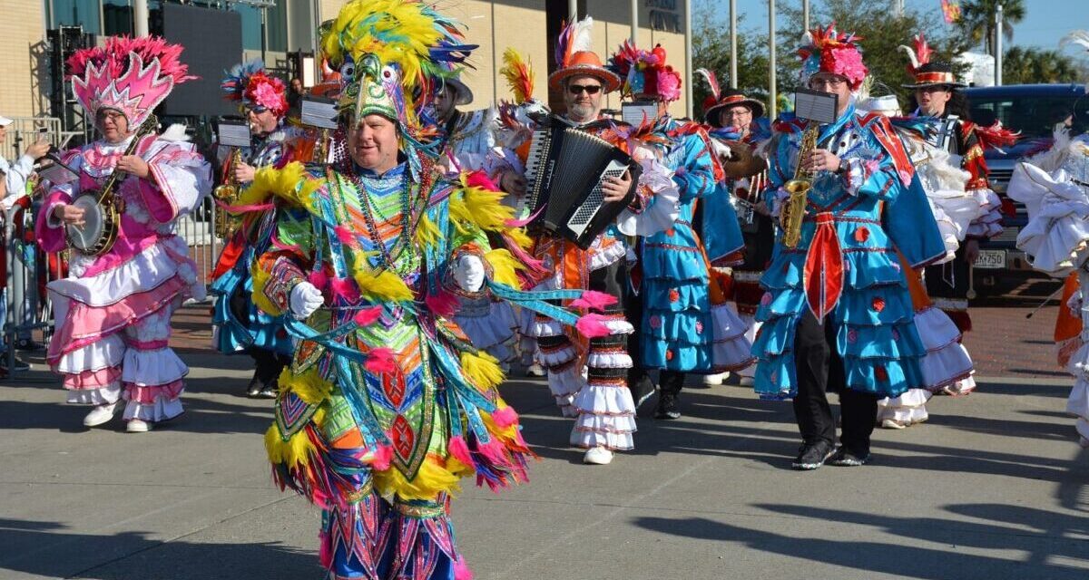 Top 12 things to do in Houston this weekend of February 17 include Mardi Gras of Southeast Texas, Rainbow on the Rink, & more!
