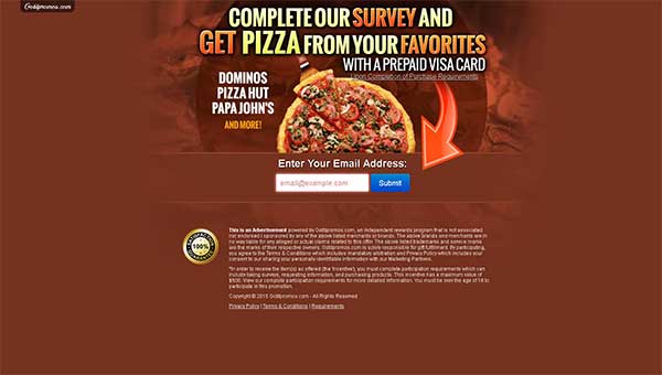 Pizza for Survey