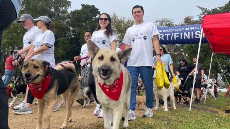 Things to do in Houston this weekend of March 24 | Houston Humane Society: 41st Annual Fun Run