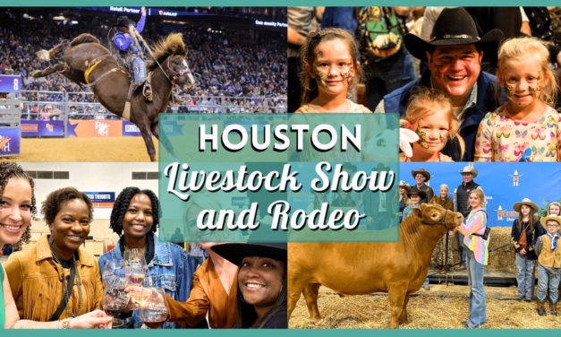 Houston Stock Show and Rodeo 2024 – Tickets, Events, and More!