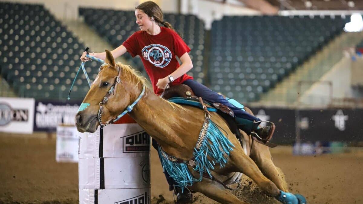 Things to do in Houston this week of March 20 | Montgomery County Fair and Rodeo