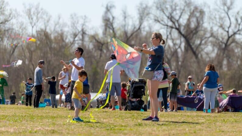 International Art and Kite Festival in Sugar Land