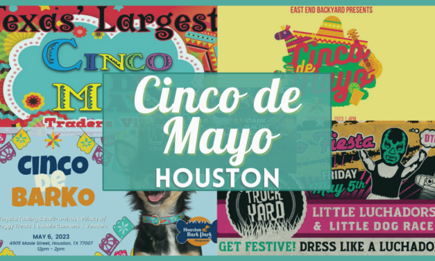 Cinco de Mayo Houston 2023 – Parties, Events, & Celebrations Near You