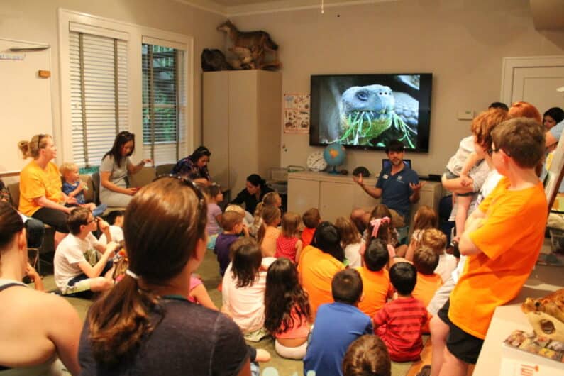 Free and Cheap Things to Do in Houston In Summer - Nature Discovery Center