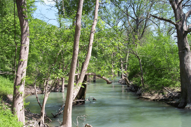Lake near Houston - Medina River Natural Area