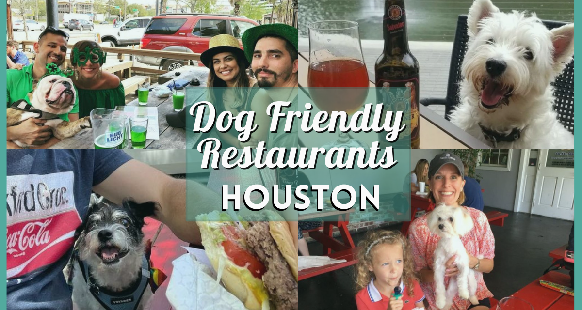 Dog Friendly Restaurants Houston – 35 Savory Spots for You and Your Pooch