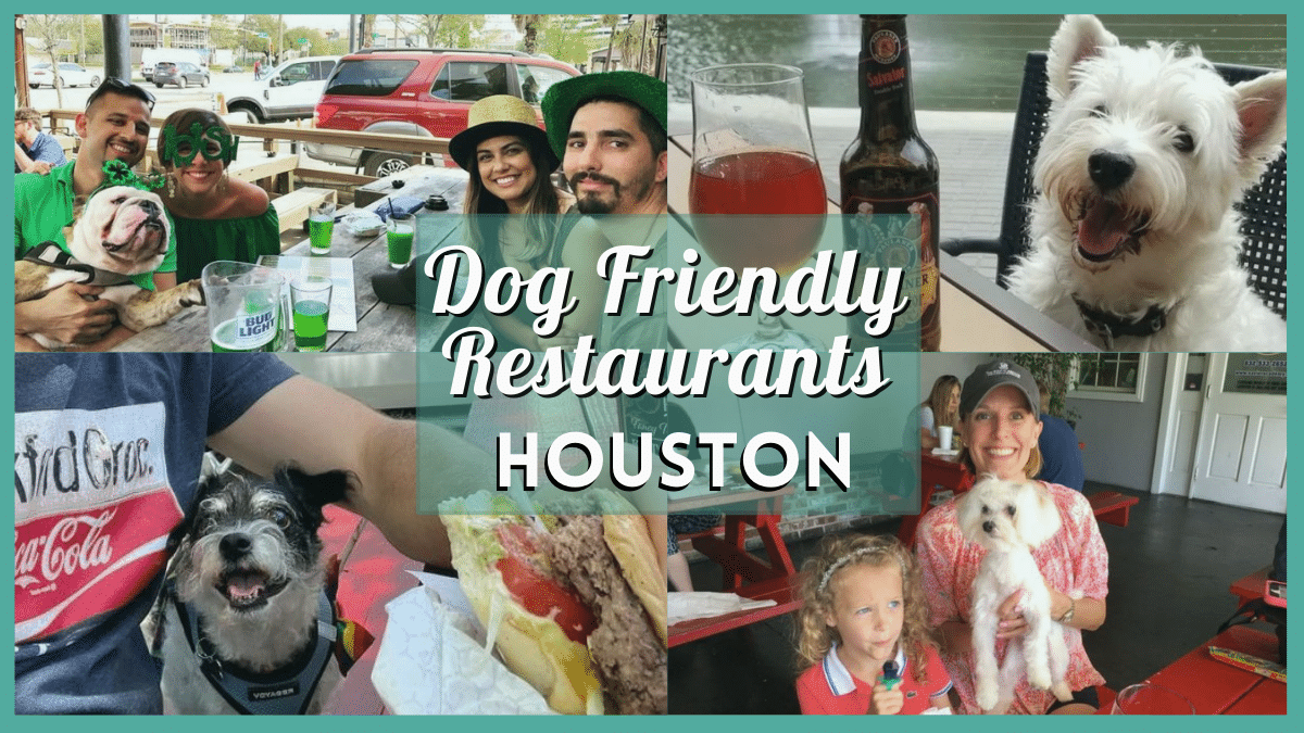 Dog Friendly Restaurants Houston - 35 Savory Spots for You and Your Pooch