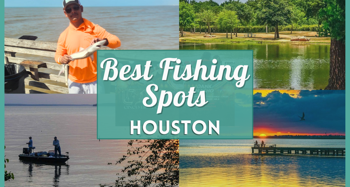 Fishing in Houston – 13 Best Spots, Parks, Docks, & Places to Fish Near You