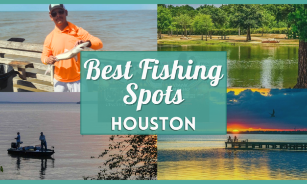Fishing in Houston – 13 Best Spots, Parks, Docks, & Places to Fish Near You