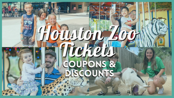 Houston Zoo Tickets: 10 Ways to Save with Coupons, Discounts