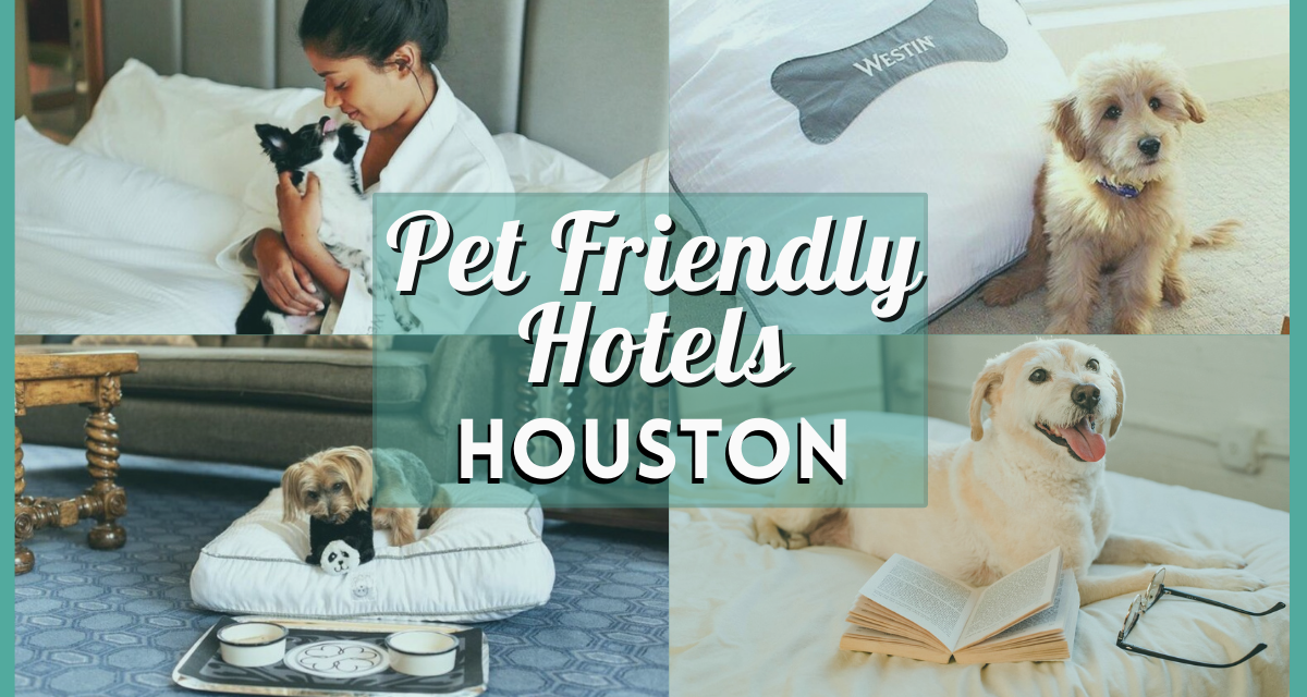 Pet Friendly Hotels Houston – Your Comprehensive Guide to a Pawsome Stay
