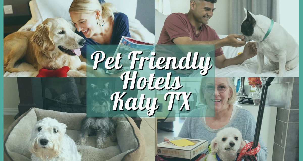 Pet Friendly Hotels Katy TX – Where Pets are Welcome