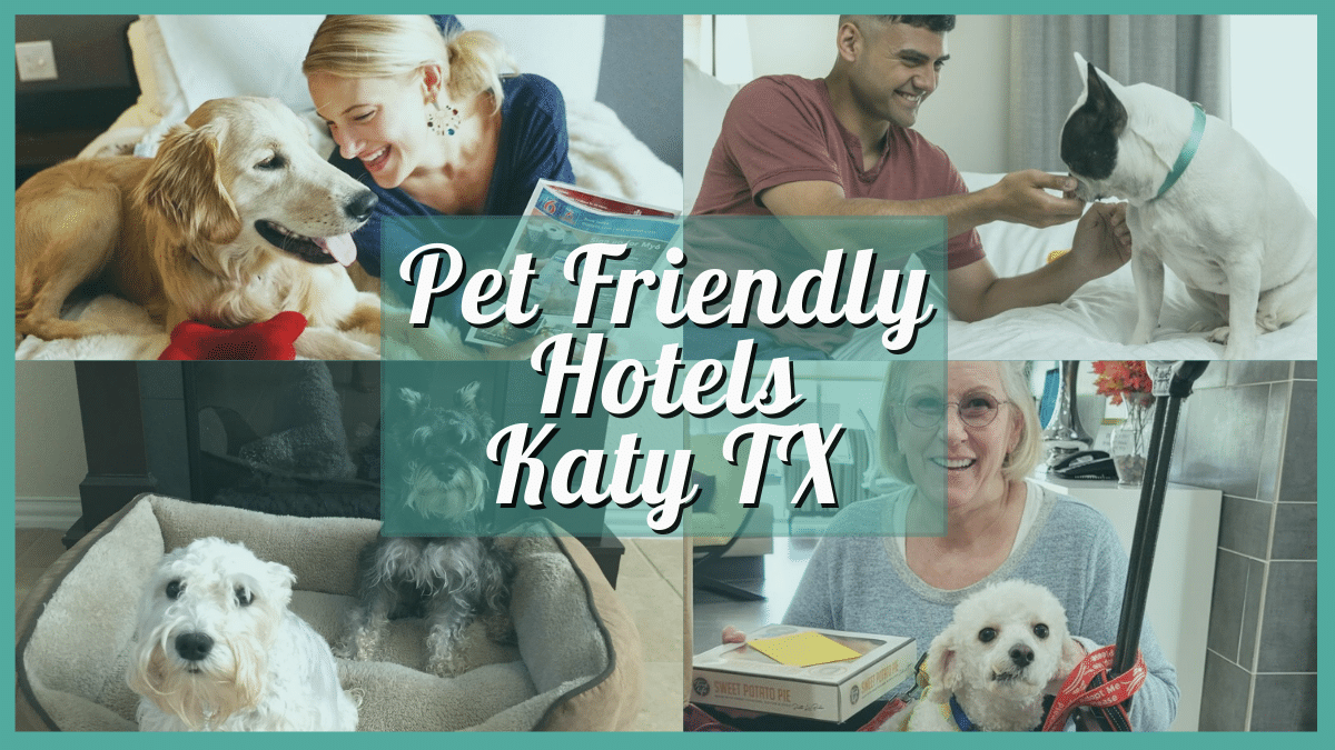 Pet Friendly Hotels Katy TX - Where Pets are Welcome