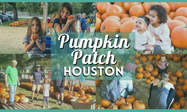 Pumpkin Patch Houston 2023 – Top 12 Best Local Pumpkin Farms & Patches in Texas