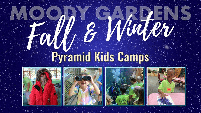 Houston Winter Camp Guide - Moody Gardens