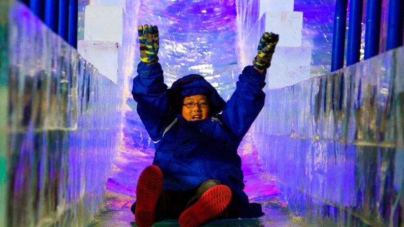Things to do in Galveston this weekend of November 24 | ICE LAND: Rainforest Holiday
