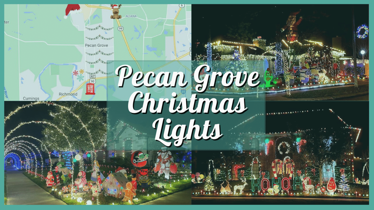 Pecan Grove Christmas Lights