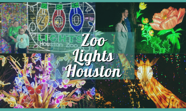 Zoo Lights Houston 2023 – Hours, Tickets, Discount Code, and More!