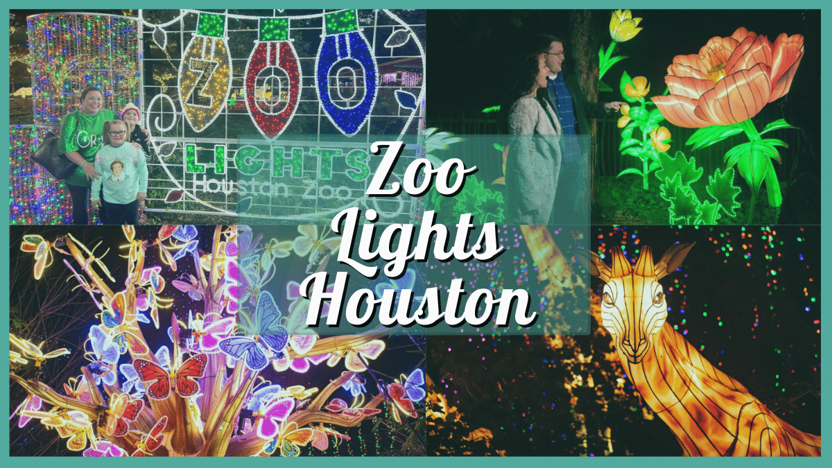 Zoo Lights Houston 2023