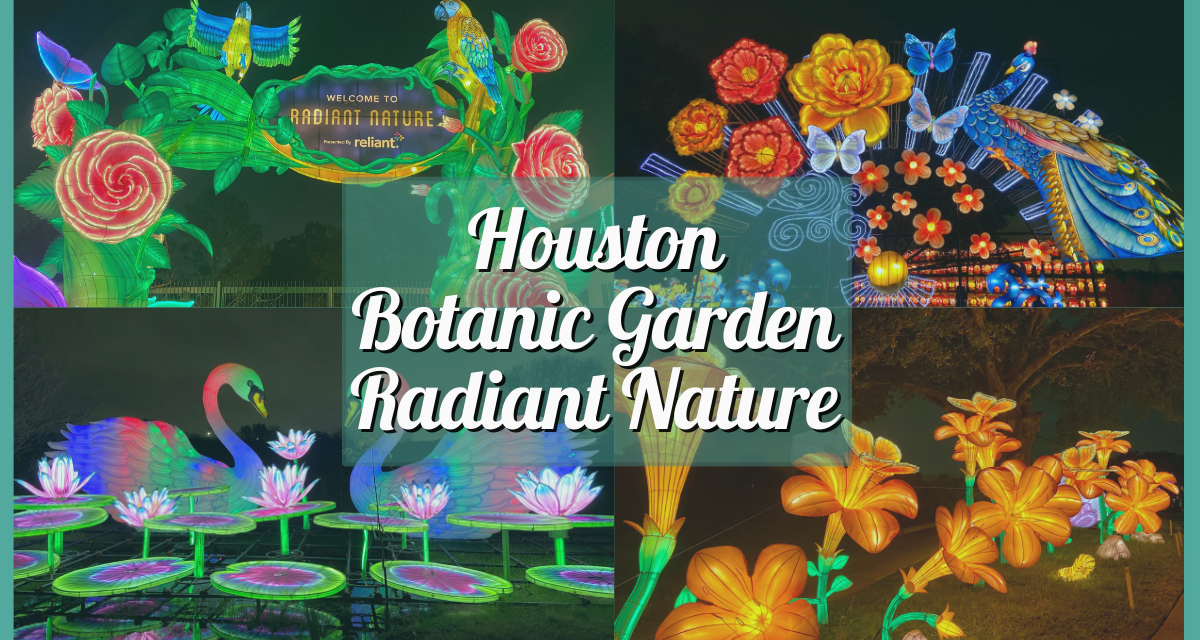 My Experience at Houston Botanic Garden Lights ‘Radiant Nature’ 2023 – A Larger-Than-Life Chinese Lantern Display