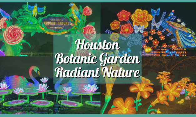 My Experience at Houston Botanic Garden Lights ‘Radiant Nature’ 2023 – A Larger-Than-Life Chinese Lantern Display