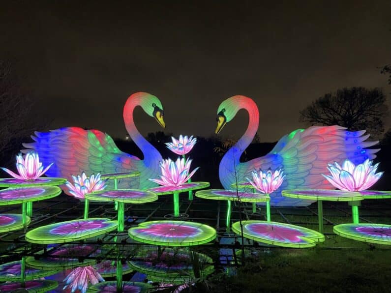 Houston Botanic Garden Lights - Radiant Nature by Reliant
