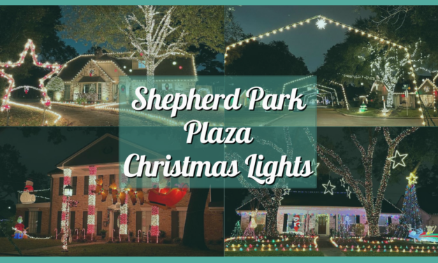 Shepherd Park Plaza Christmas Lights 2023 – Experience this Holiday Tradition in Houston