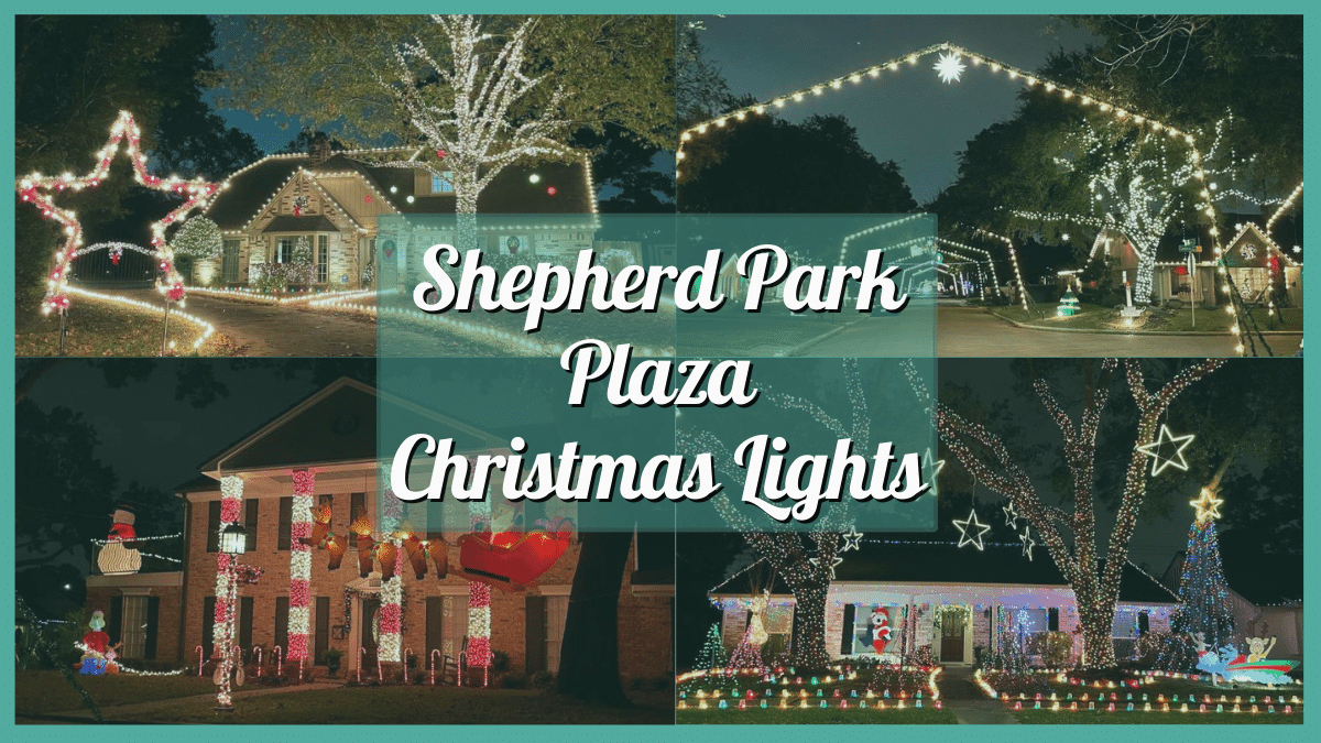 Shepherd Park Plaza Christmas Lights 2023