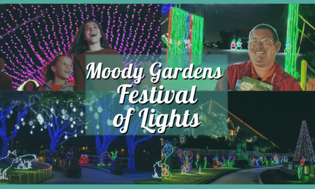 Moody Gardens Festival of Lights 2023 – A Dazzling Display of Holiday Lights in Galveston