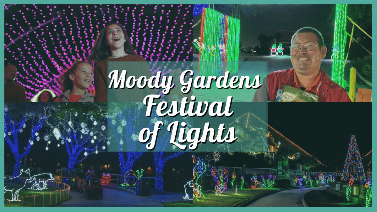 Moody Gardens Festival of Lights 2023
