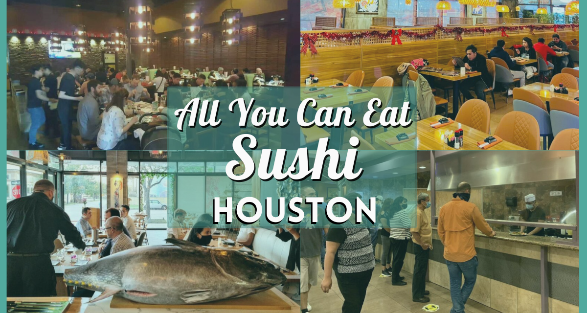 Satisfy Your Sushi Cravings! Check Out Our All You Can Eat Sushi Houston Guide 2024!