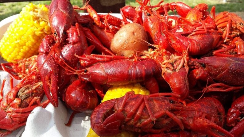 Crab Legs Houston Extravaganza - A Foodie's Guide to Shell-ebration in H-Town! 3 The Boil House