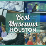 Best Museums in Houston – Explore Art, History, Science & More with this Guide!