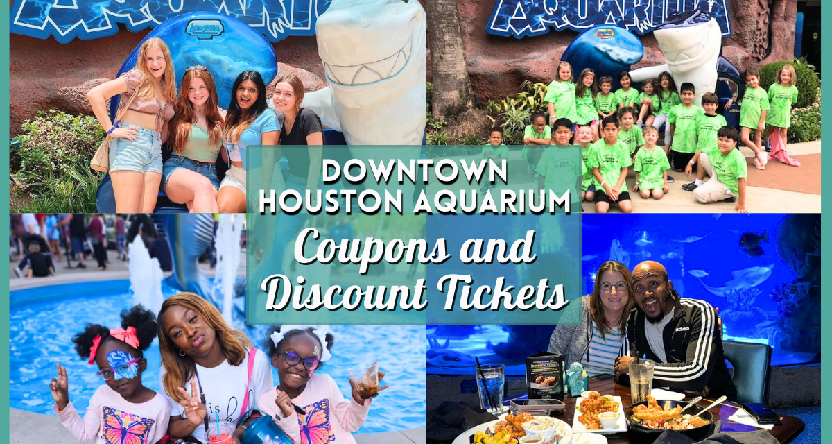 Houston Aquarium Discount and Coupons – 4 Ways to Save Big on Tickets and Admissions!