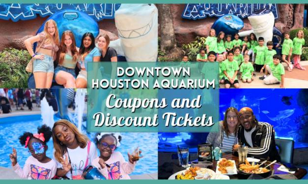 Houston Aquarium Discount and Coupons – 4 Ways to Save Big on Tickets and Admissions!